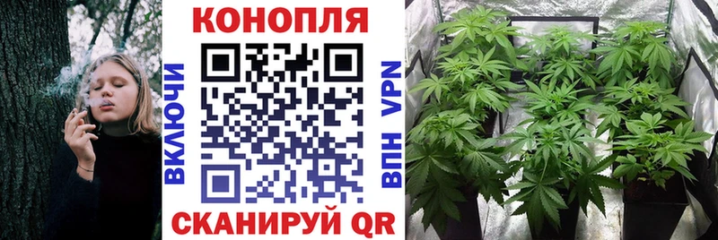 Купить Cocaine  Меф мяу мяу  АМФЕТАМИН  Каннабис  Галлюциногенные грибы  Alpha-PVP  Сураж