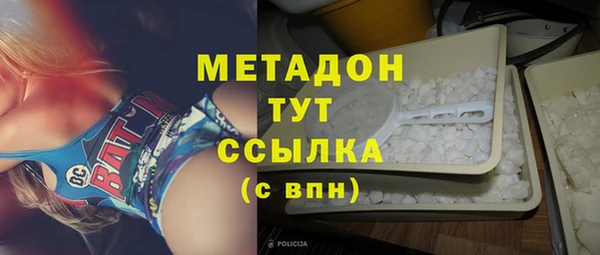 прущие грибы Арсеньев