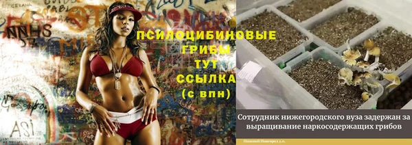 спиды Аркадак