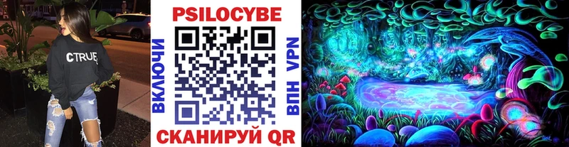 Купить где  Сураж  Галлюциногенные грибы GOLDEN TEACHER 